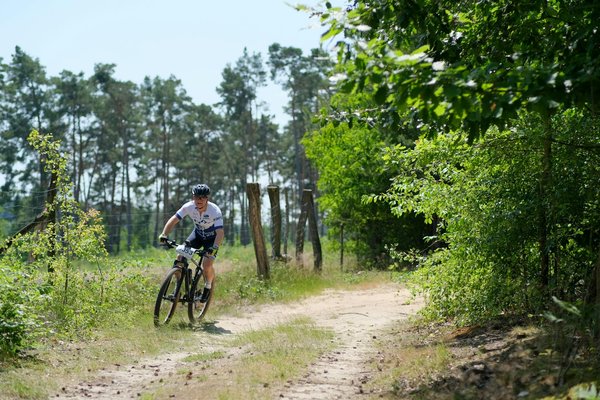 7 exercices à faire à cheval pour améliorer sa posture